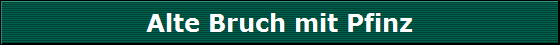 Alte Bruch mit Pfinz