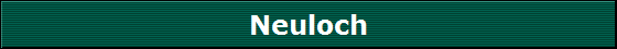 Neuloch